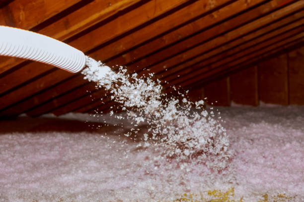 Best Eco-Friendly Insulation in Spanish Fort, AL